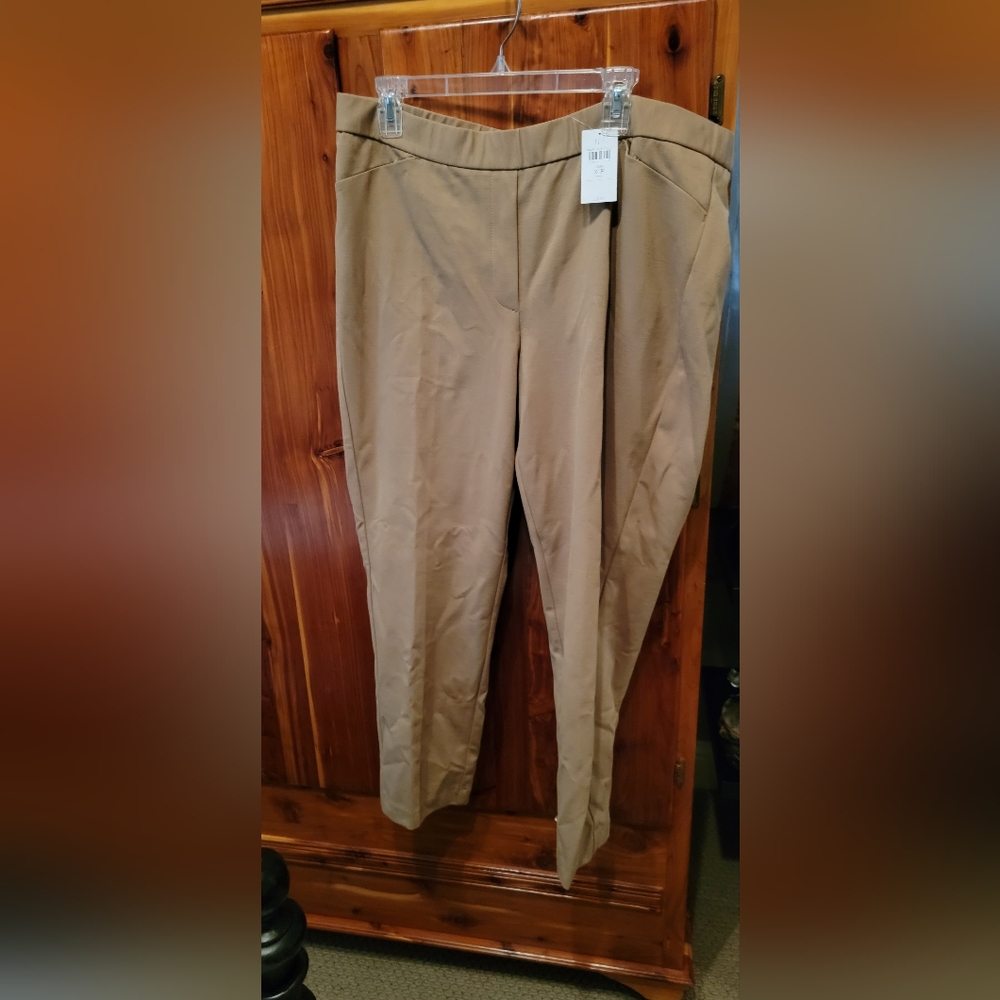 Cute casual pants (nwt)